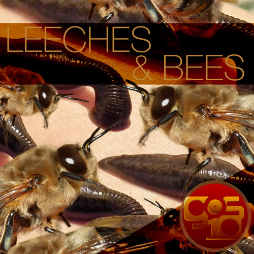 Leeches and Bees album cover artwork by GOS10